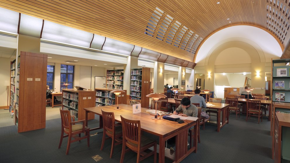 Picture of student studying in library.