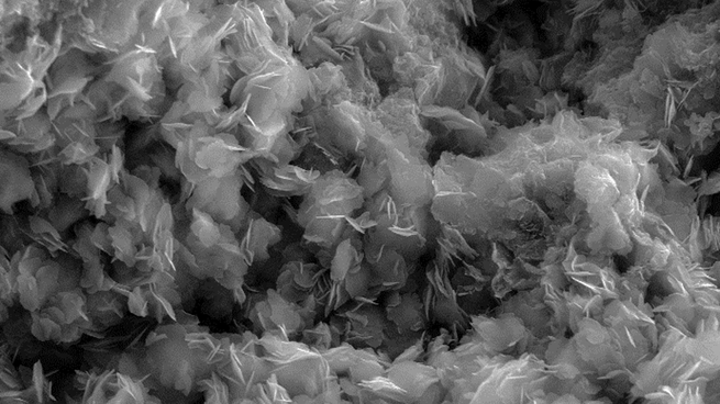 SEM micrograph of h-BN layer on graphite substrate