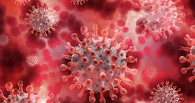 Image illustrating coronavirus