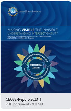 Making Visible the Invisible