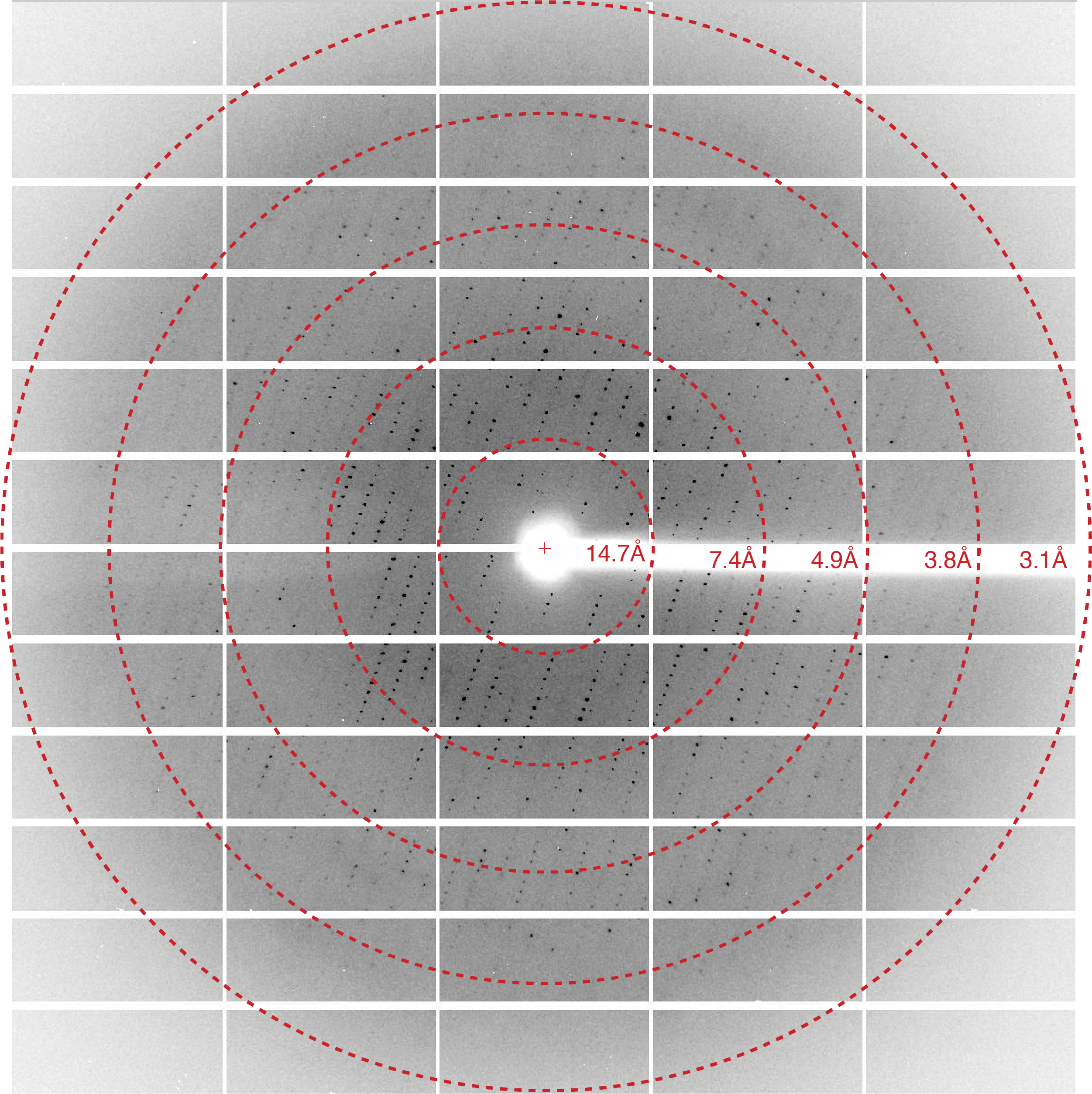 crystal_diffraction_pattern_Biophysics_Voorhees_Lab