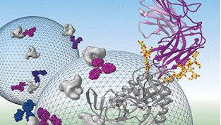 Micobiology and Immunology
