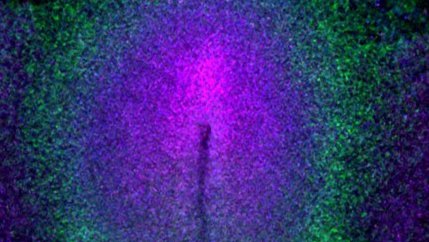 Small systems biology