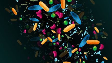 Developmental Biology and Genetics