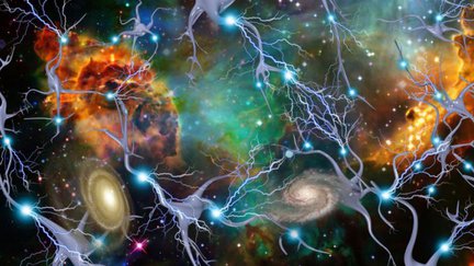 Neuroscience