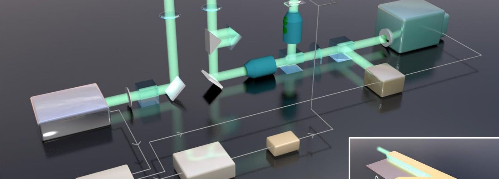 High-speed camera captures signals traveling through nerve cells
