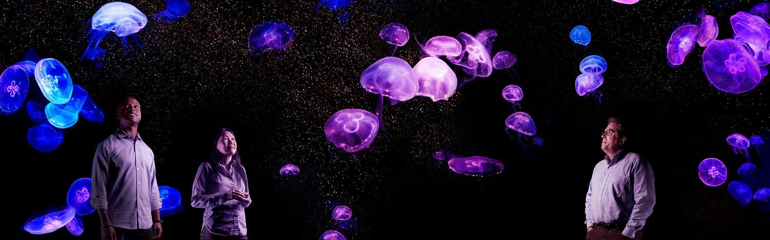 3 people in a dark room with jellyfish overhead