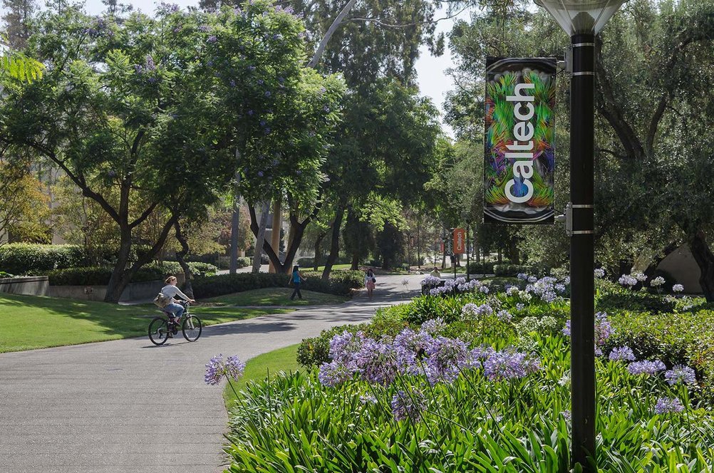 DEI Caltech