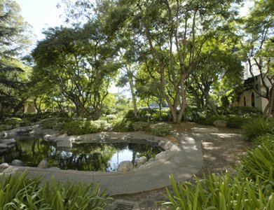 pond