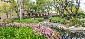 Throop Hall pond