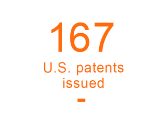 167 U.S. patents issued