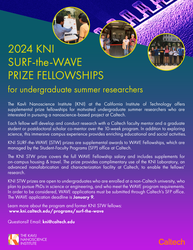 2024 KNI STW Prize Fellowships Flyer