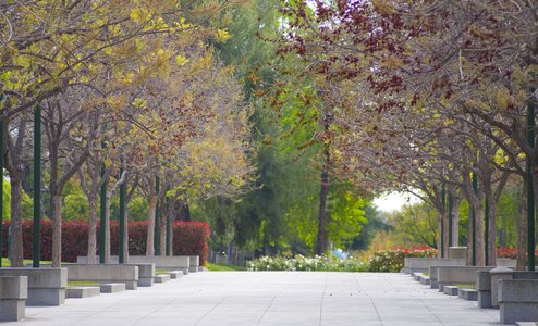 Moore Walk at Caltech