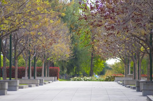 Moore Walk at Caltech