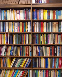 Photos of Books on a Shelf