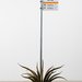 A Los Angeles RTD (Rapid Transit District) bus stop sign for lines 70 and 71 rises out of the center of a succulent plant.