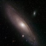 Andromeda as seen by ZTF 