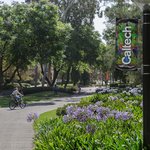 A cyclist and pedestrians on the Caltech campus, with flowers visible in the foreground.