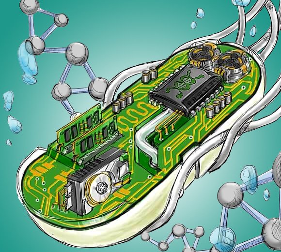 A drawing of a cell containing electrical components