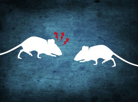 Two cartoon mice encounter one another, one sends signals of alert and alarm