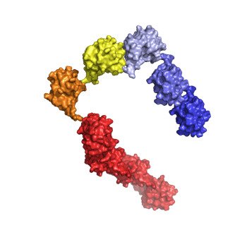 Deshaies ubiquitin chain release