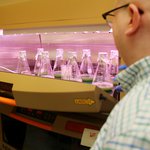 Maggie Higginbotham, a 10th-grade student at Blair High School in Pasadena, opens an incubator shaker to reveal cultures of bacteria used to produce gas vesicles for research.