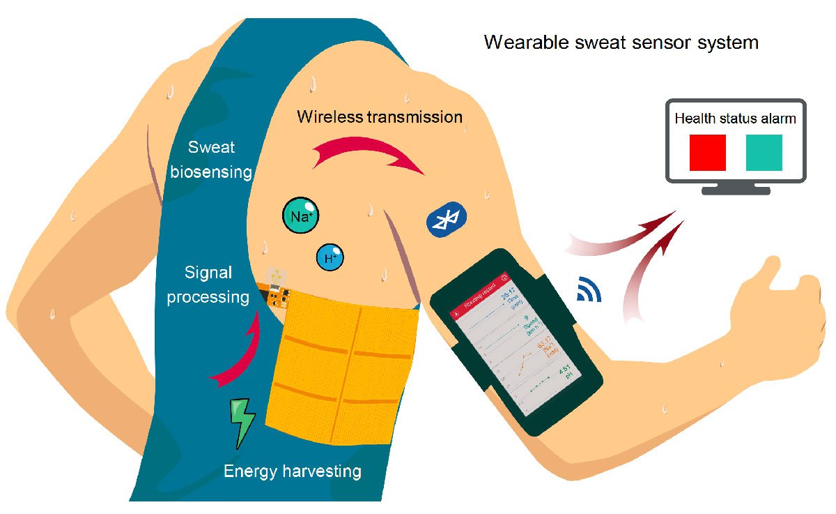 An artist's rendering of how the system works. The generator creates electricity for the sweat sensor, which transmits data wirelessly to a cell phone.