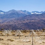 the Long Wavelength Array at Owens Valley Radio Observatory