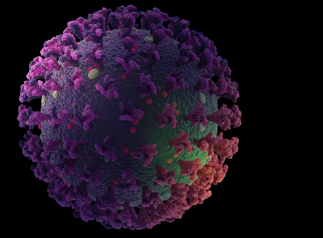 Stock image illustration of a coronavirus, spherical with spiky proteins sticking out of the surface
