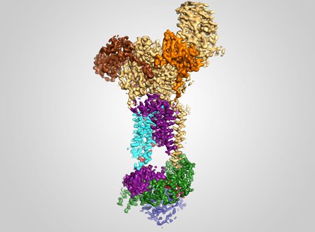 A 3D protein structure with colored components