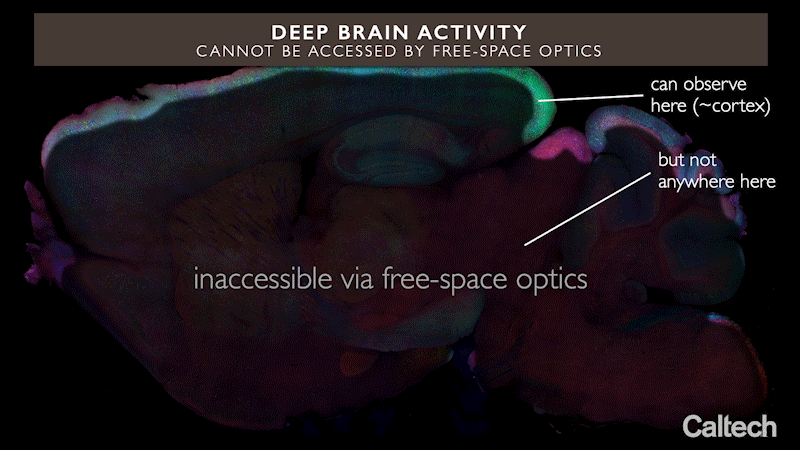 How integrated neurophotonics could unlock circuits buried deep in the brain