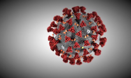 Illustration of the novel coronavirus that causes COVID-19. Small red spikes protrude from a circular virion.