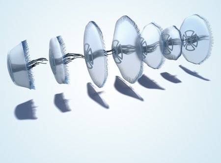 A computer generated image of a jellyfish at several stages of its swimming motion.