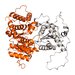 ribbonlike folded protein domains, one shown in orange, the rest shown in gray