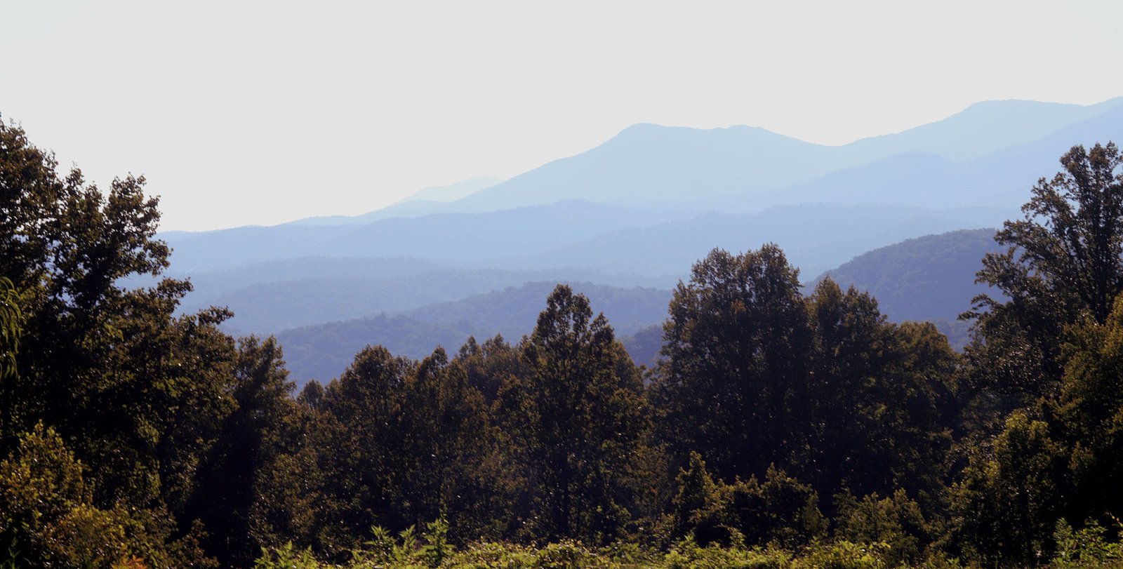 A photo of the Great Smoky Mountains. Forested hills and mountains are seen.