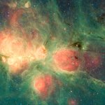 Cat's Paw Nebula