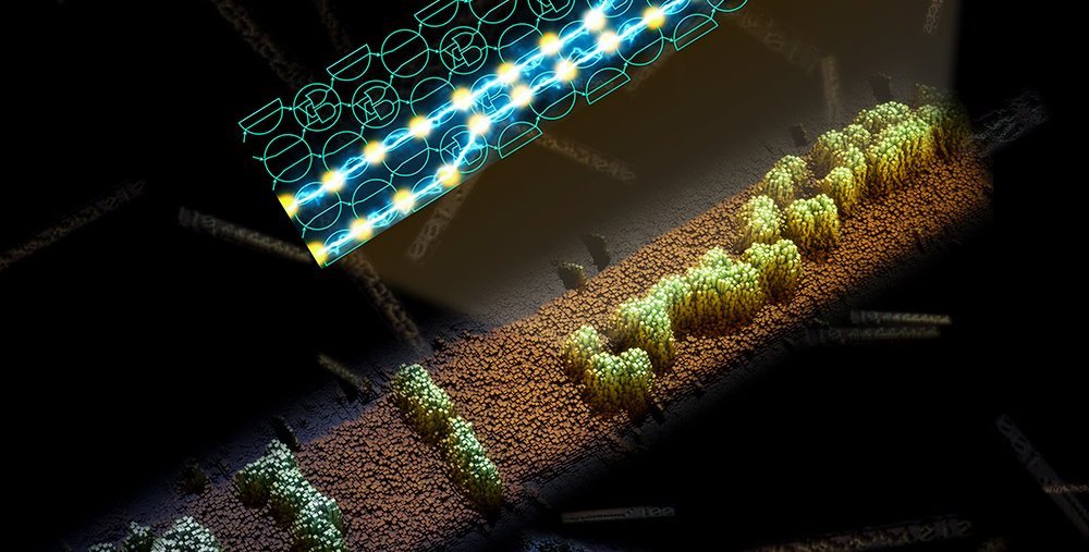 DNA scarf