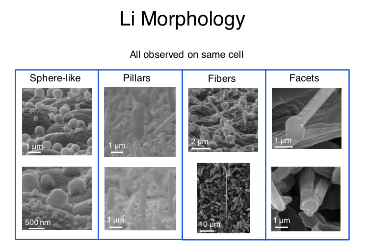 Julia Greer's new research demonstrates the remarkable strength of lithium at the nanoscale, where growing "dendrites" can short-circuit or otherwise damage a battery cell.