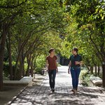 students on Caltech campus