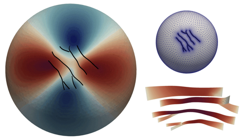 Planetary Geophysics